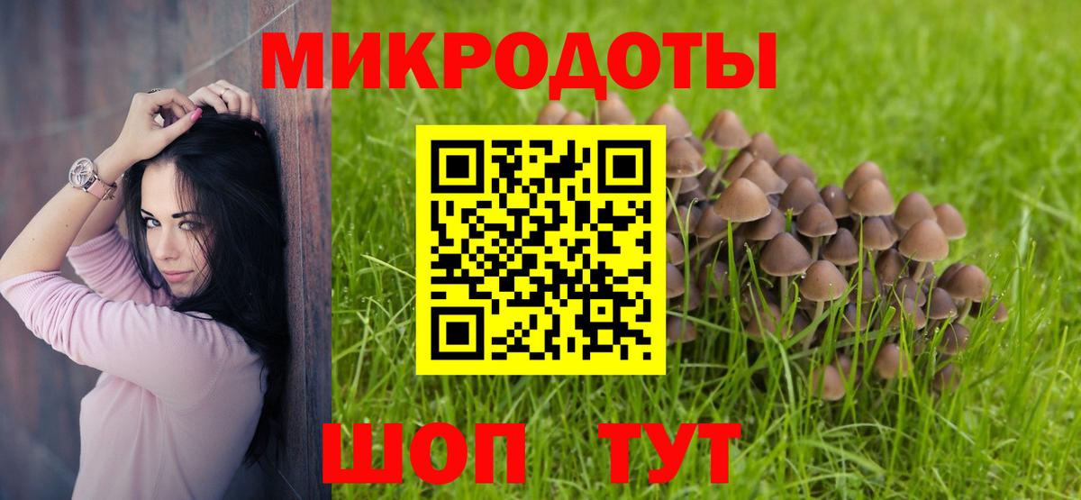 где найти наркотики  Вход с VPN  Кудымкар  Галлюциногенные грибы Psilocybine cubensis 